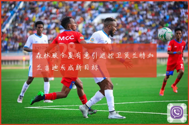 森林狼今夏有意引进控卫莫兰特加兰吉迪或成新目标